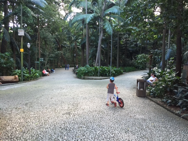 avenida paulista 