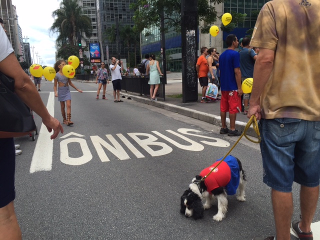 avenida paulista