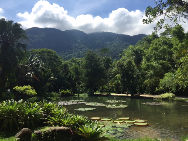 jardim botanico