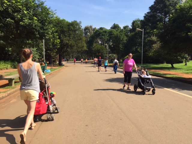 parque ibirapuera passeios