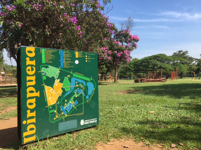 parque ibirapuera planta