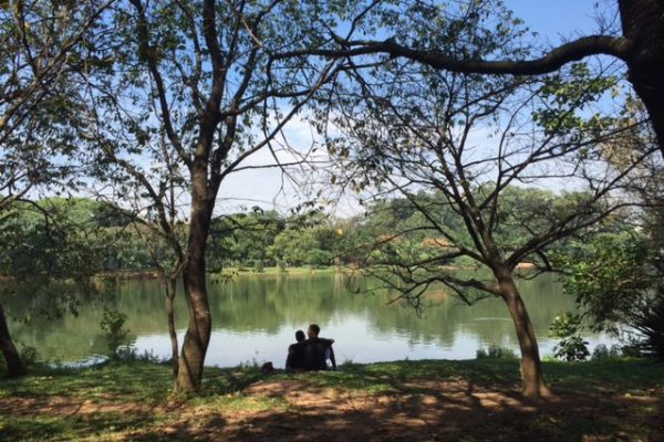 parque ibirapuera relaxar