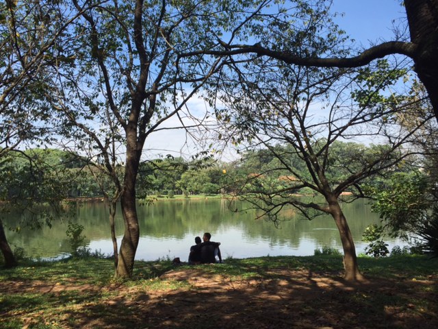 parque ibirapuera relaxar