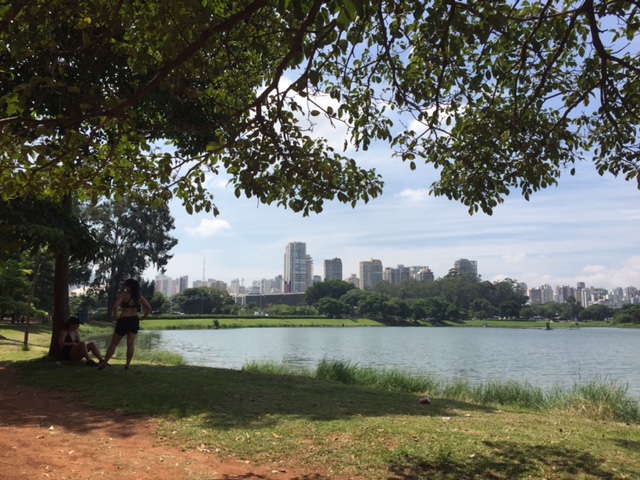 parque ibirapuera são paulo