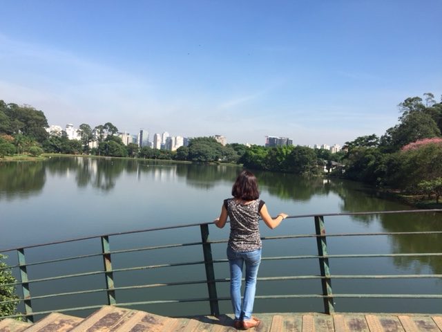 parque ibirapuera vistas