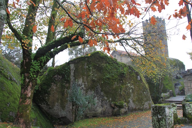 penha guimaraes