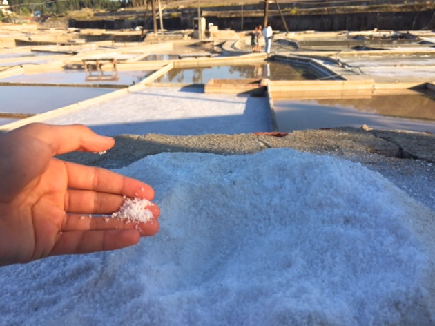 salinas de Rio Maior