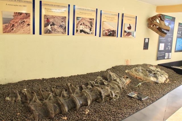 museu da lourinha descobertas