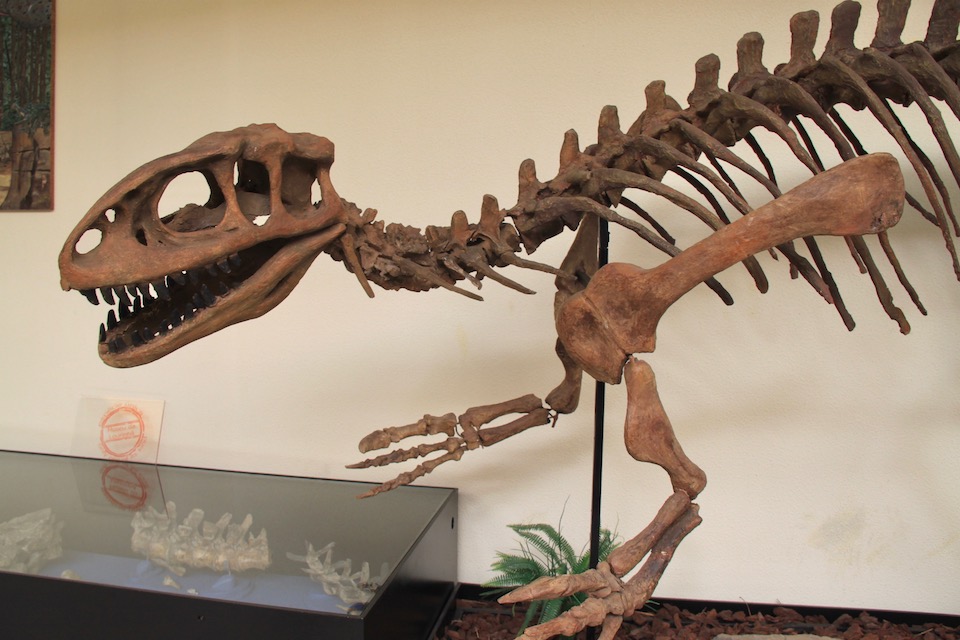 museu da lourinha dinossauro