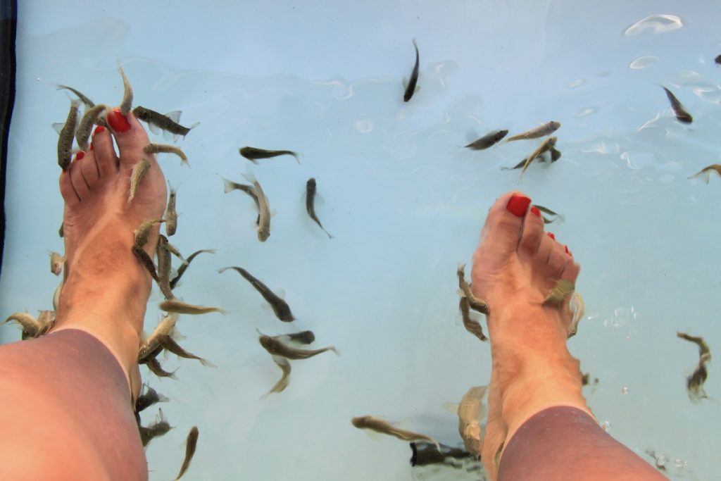 fish spa aquashow park hotel