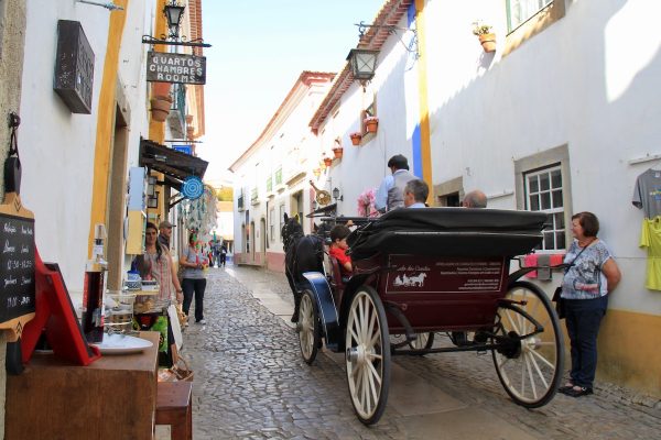 charrete em obidos cavalos