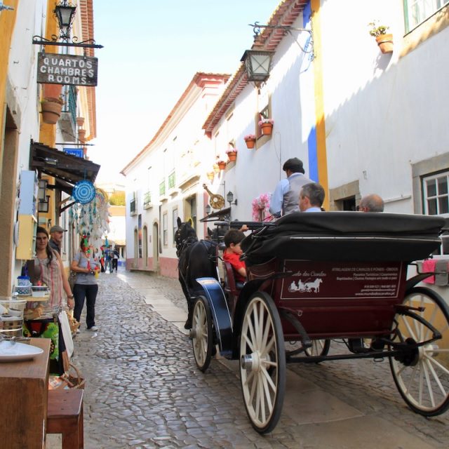 charrete em obidos cavalos